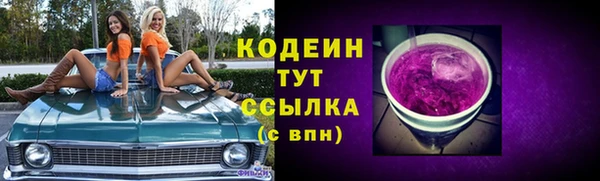 дмт Вяземский