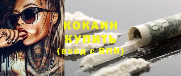 дмт Вяземский